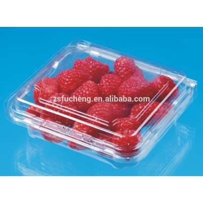 Disposable Transparent Plastic Fruit clam shall Packaging Boxes