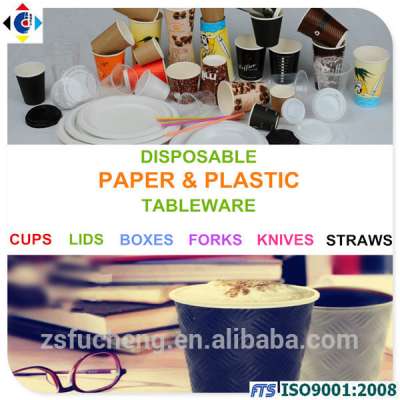 Disposable Paper & Plastic Tableware Dinnerware Products