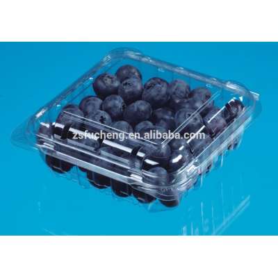 Clear PET Vegetable Plastic Stroage Box for Refrigerator