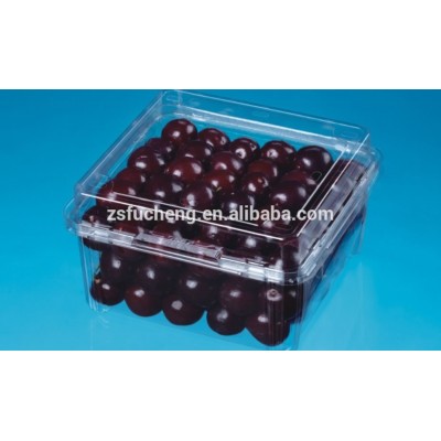 Hot sale Disposable Transperant fruit packaging plastic boxes for cherry