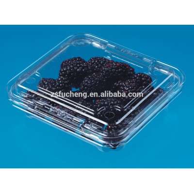 Disposable cookie plastic packaging clear transparent plastic box/ container